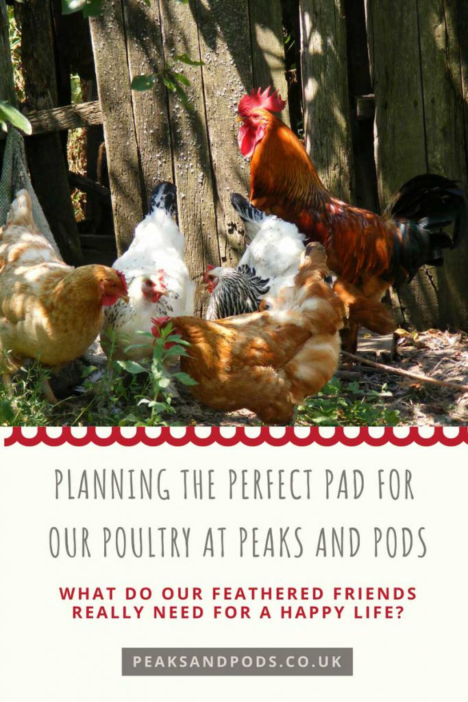 Poultry at Peaks and Pods